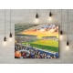Falkirk FC Falkirk Stadium Wall Art Canvas